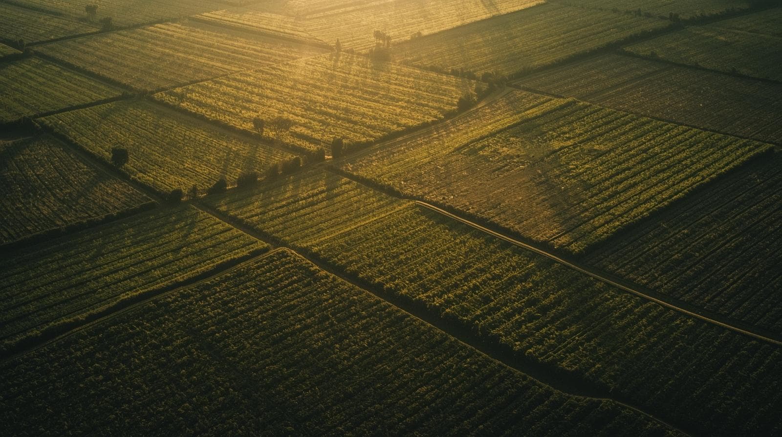 Productive Farms